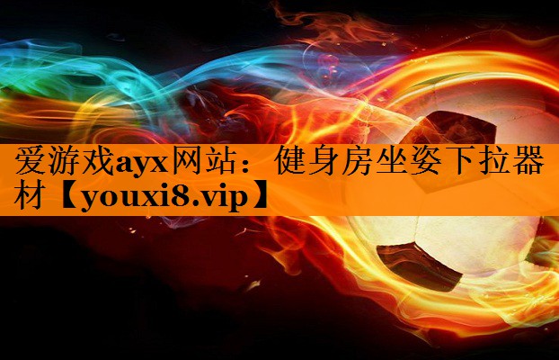 爱游戏ayx网站：健身房坐姿下拉器材